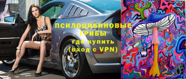 МДПВ Заводоуковск