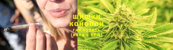 МДПВ Заводоуковск