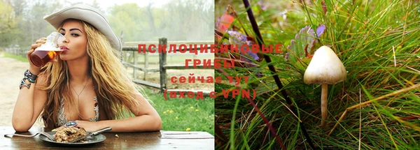 скорость Заволжье