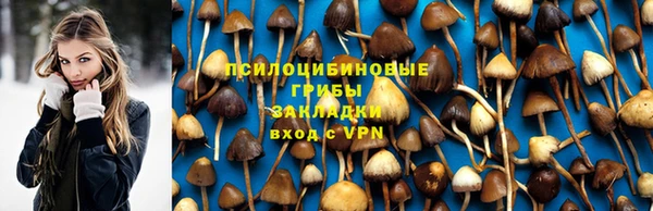 МДПВ Заводоуковск